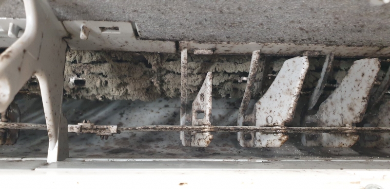 Dirty AC indoor fan barrel.